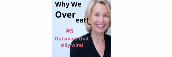 Why We Overeat! #5 - It's A Wire!