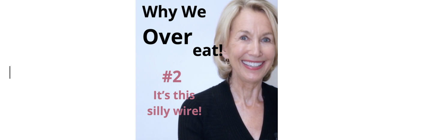 Why We Overeat #2 - It's A Silly Wire!