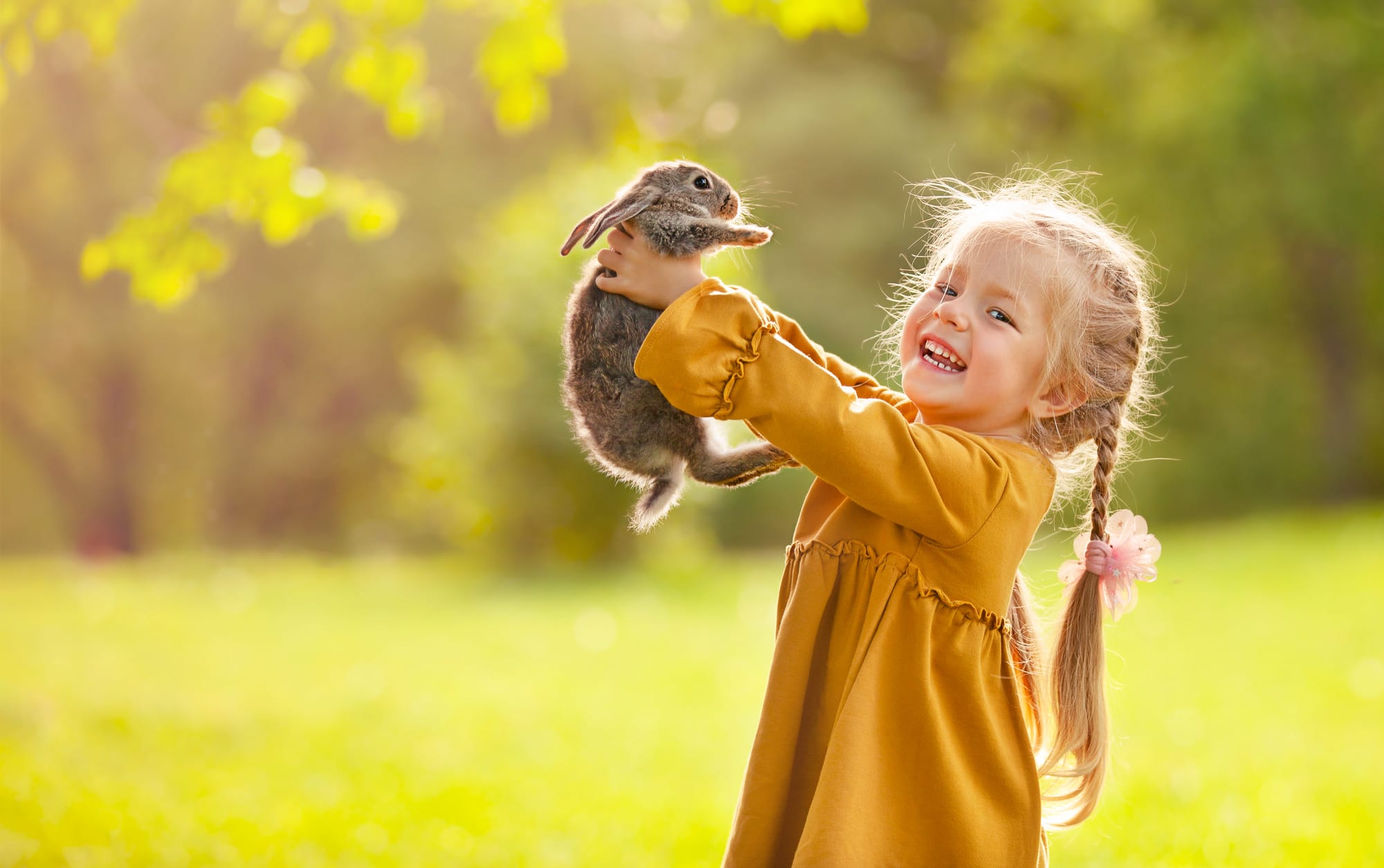 Wired for Joy Defined
