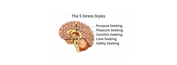 What's Your Stress Style?