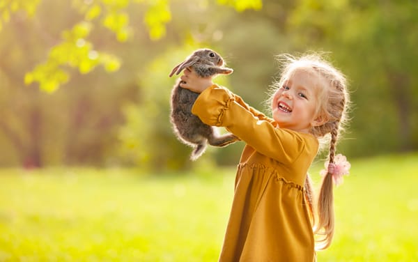 Wired for Joy Defined